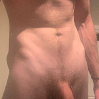 greybeard 的头像